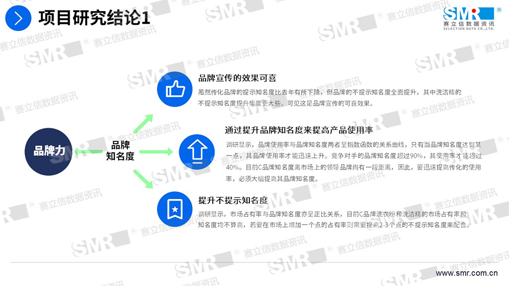 赛立信洗涤用品品牌与营销项目