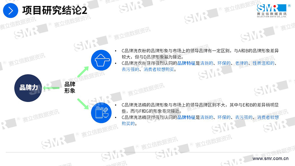 赛立信洗涤用品品牌与营销项目
