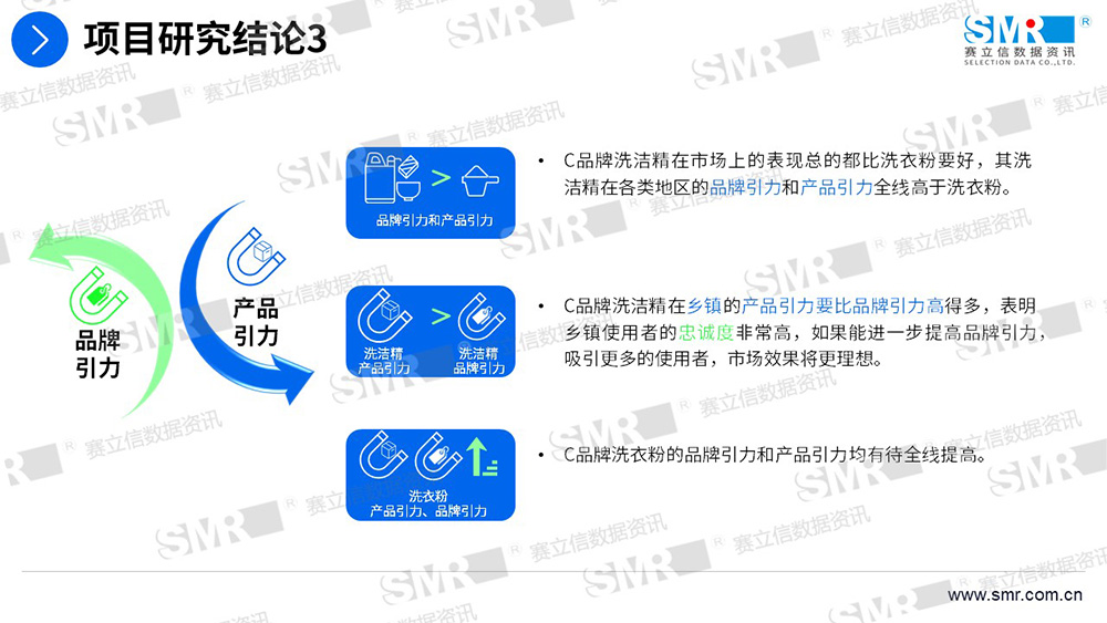 赛立信洗涤用品品牌与营销项目