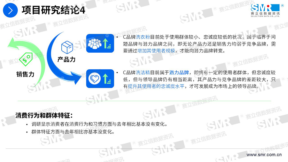赛立信洗涤用品品牌与营销项目