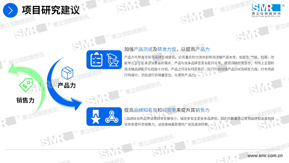 赛立信洗涤用品品牌与营销项目