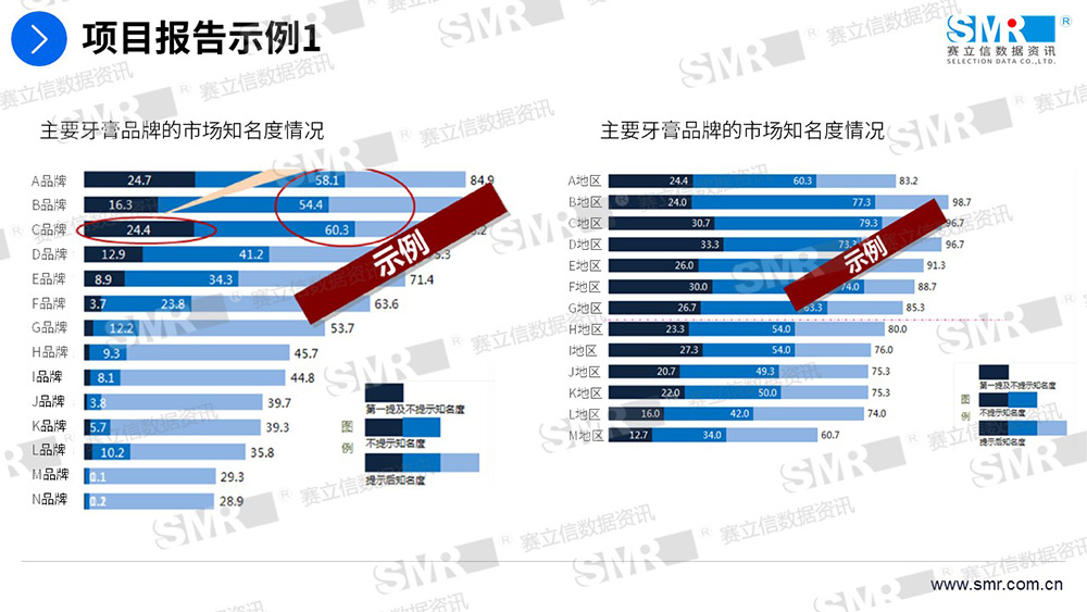 赛立信牙膏品牌研究项目