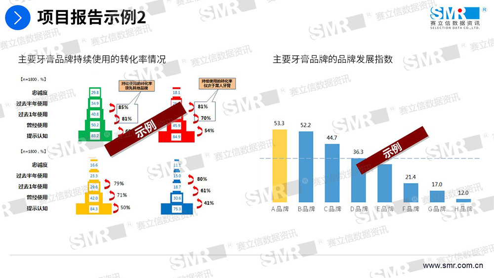 赛立信牙膏品牌研究项目