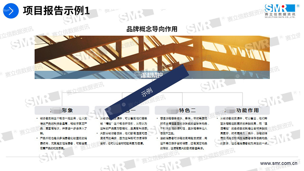 赛立信家电概念测试研究