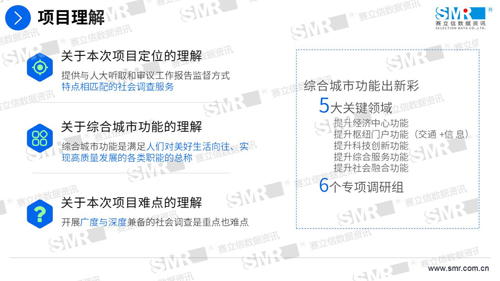 赛立信政务服务调研