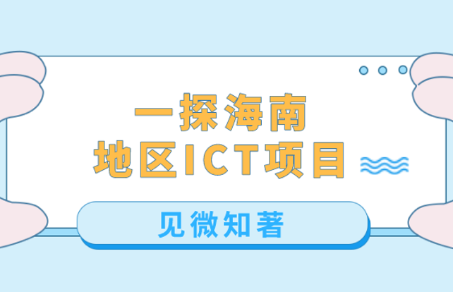 2020年海南地区运营商ICT项目中标情况分析